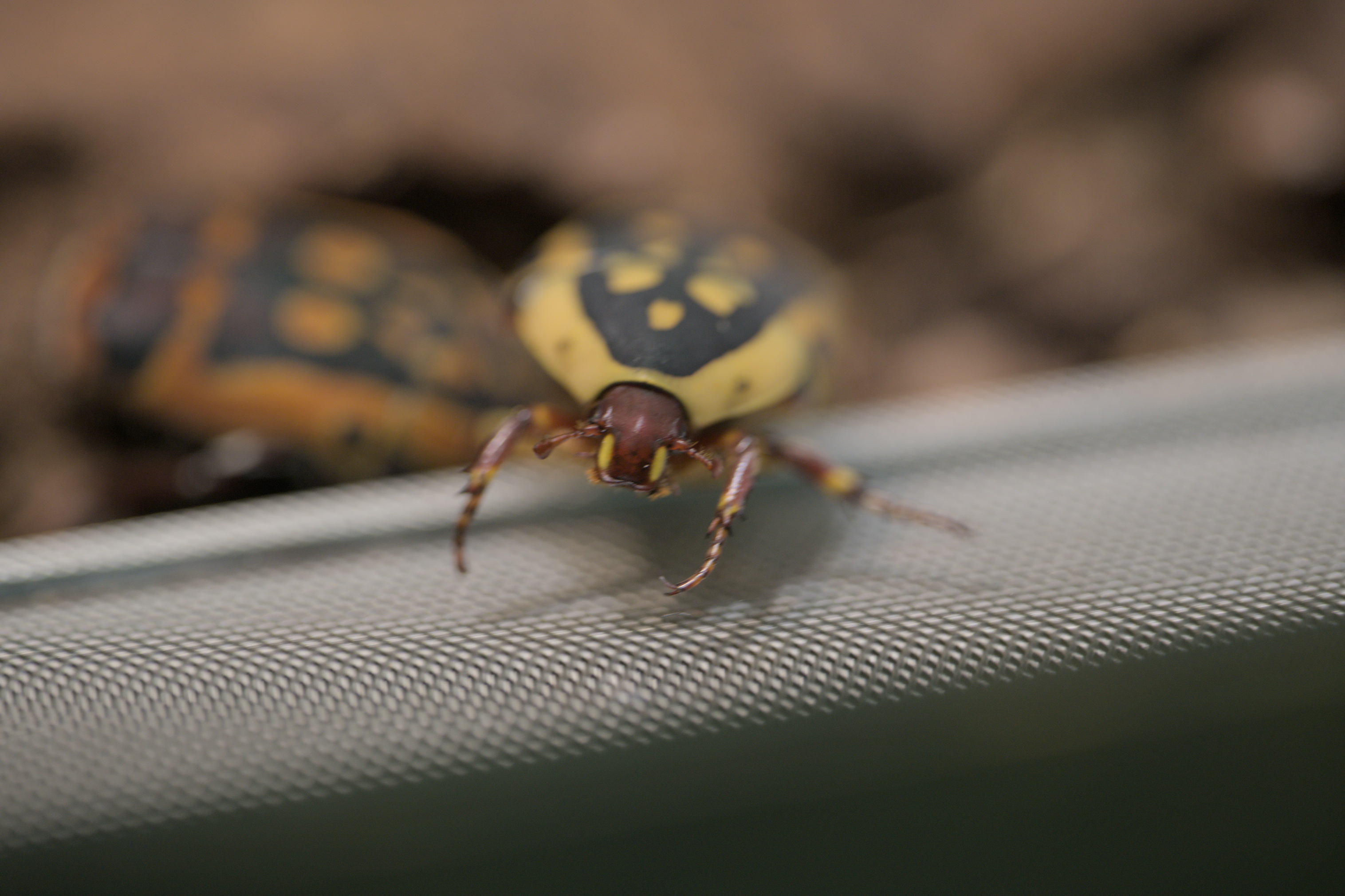 2025/10/12 - zoo/DSC_0224.jpg